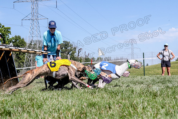 Program 2 Race 7, Letti Ready KatyRose Raven Alex-5020