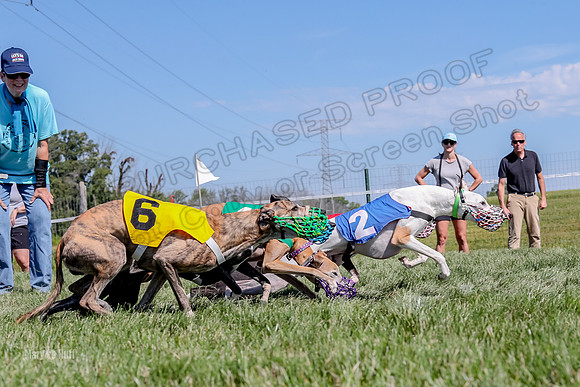 Program 2 Race 7, Letti Ready KatyRose Raven Alex-5021