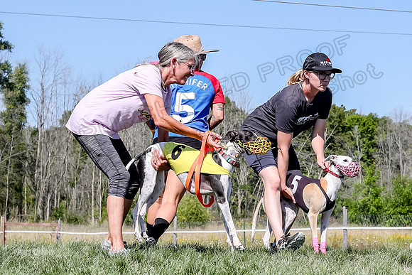 Program 2 Race 6, Bolty Eddie Valleri Rosie Chuck-4993