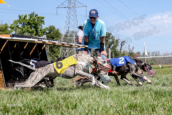 Program 2 Race 5, Meat Loaf Sneakers Tie-Dye Axl Blaze-4974