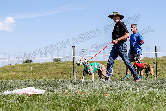 Program 2 Race 5, Meat Loaf Sneakers Tie-Dye Axl Blaze-4949