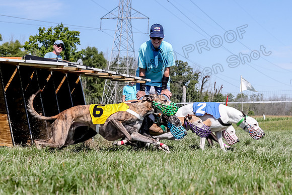Program 2 Race 7, Letti Ready KatyRose Raven Alex-5019