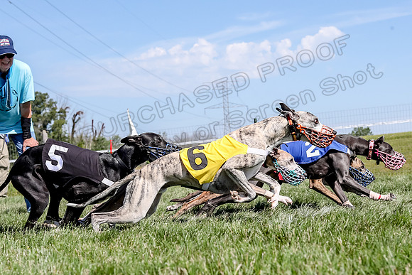 Program 2 Race 5, Meat Loaf Sneakers Tie-Dye Axl Blaze-4977