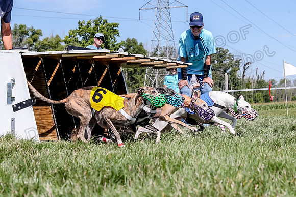 Program 2 Race 7, Letti Ready KatyRose Raven Alex-5018