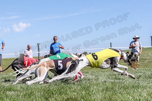 Program 2 Race 6, Bolty Eddie Valleri Rosie Chuck-5008