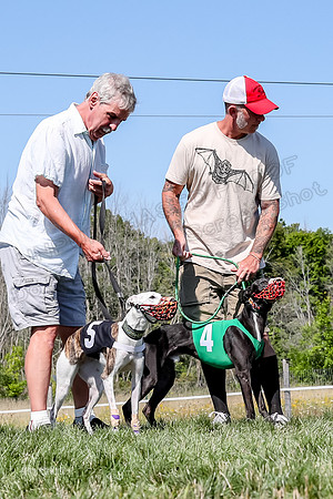 Program 2 Race 9, Kraken Lola Halford Grim Addie Cheers-5053