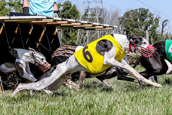 Program 2 Race 9, Kraken Lola Halford Grim Addie Cheers-5068