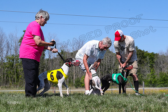 Program 2 Race 9, Kraken Lola Halford Grim Addie Cheers-5057