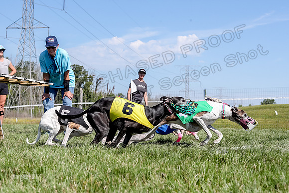 Program 2 Race 4, Clara Stella Riley Gambit Bandit-4929