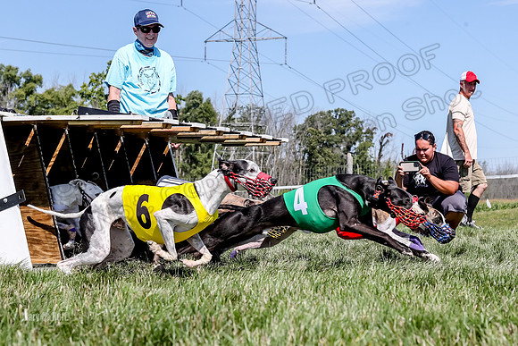 Program 2 Race 9, Kraken Lola Halford Grim Addie Cheers-5067