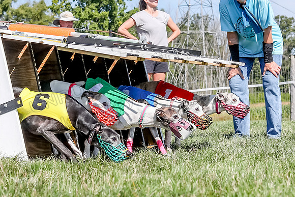 Program 2 Race 4, Clara Stella Riley Gambit Bandit-4924