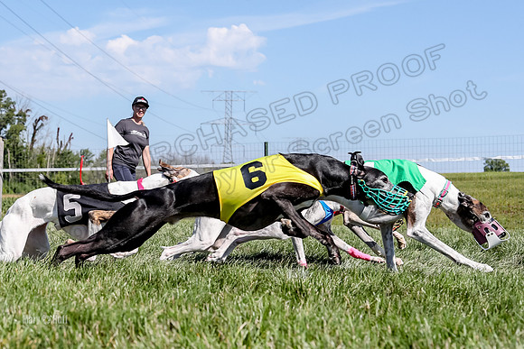 Program 2 Race 4, Clara Stella Riley Gambit Bandit-4930