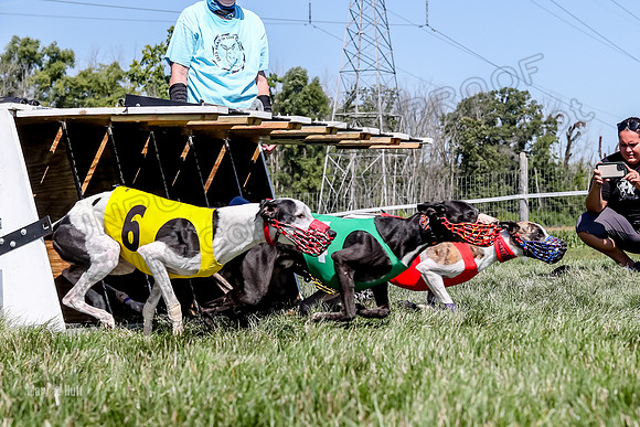 Program 2 Race 9, Kraken Lola Halford Grim Addie Cheers-5066