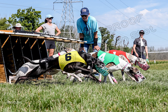 Program 2 Race 4, Clara Stella Riley Gambit Bandit-4927