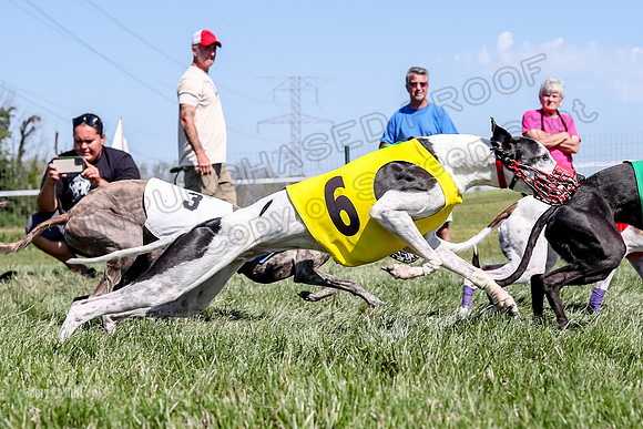 Program 1 Race 9, Kraken Lola Halford Grim Addie Cheers-5071