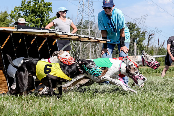 Program 2 Race 4, Clara Stella Riley Gambit Bandit-4926