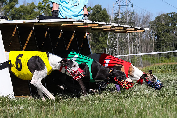 Program 2 Race 9, Kraken Lola Halford Grim Addie Cheers-5065