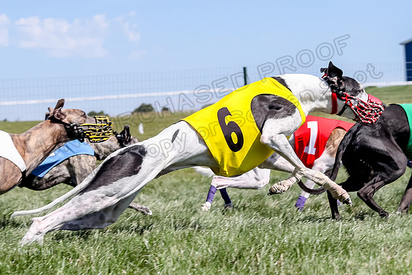 Program 2 Race 9, Kraken Lola Halford Grim Addie Cheers-5074