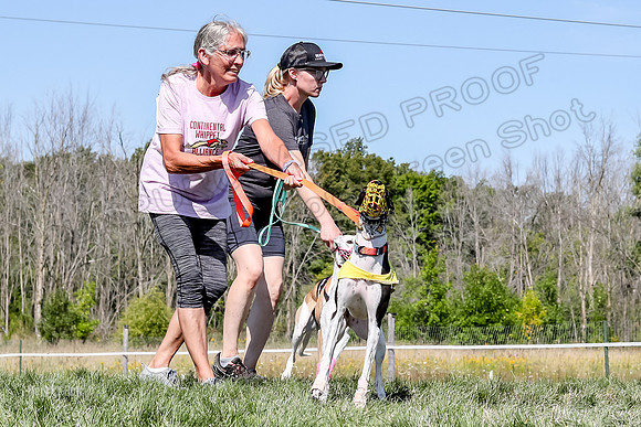 Program 2 Race 6, Bolty Eddie Valleri Rosie Chuck-4988