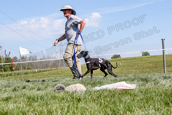 Program 2 Race 5, Meat Loaf Sneakers Tie-Dye Axl Blaze-4947