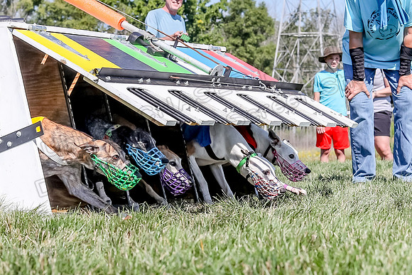 Program 2 Race 7, Letti Ready KatyRose Raven Alex-5015
