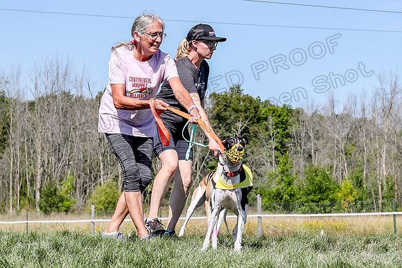 Program 2 Race 6, Bolty Eddie Valleri Rosie Chuck-4989