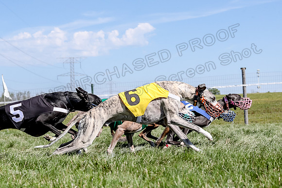 Program 2 Race 5, Meat Loaf Sneakers Tie-Dye Axl Blaze-4978