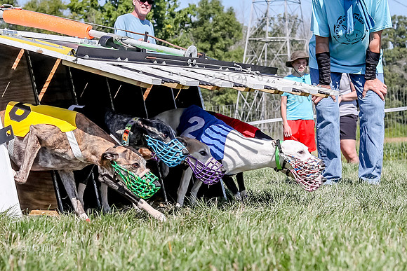 Program 2 Race 7, Letti Ready KatyRose Raven Alex-5016