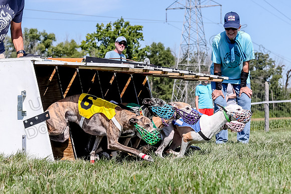Program 2 Race 7, Letti Ready KatyRose Raven Alex-5017