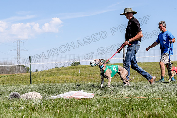 Program 2 Race 5, Meat Loaf Sneakers Tie-Dye Axl Blaze-4951