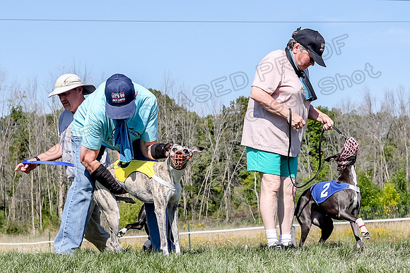 Program 2 Race 5, Meat Loaf Sneakers Tie-Dye Axl Blaze-4955