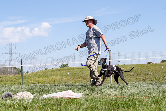 Program 2 Race 5, Meat Loaf Sneakers Tie-Dye Axl Blaze-4941