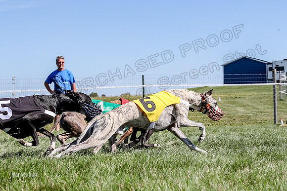 Program 2 Race 5, Meat Loaf Sneakers Tie-Dye Axl Blaze-4981