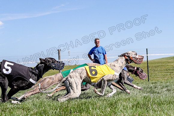 Program 2 Race 5, Meat Loaf Sneakers Tie-Dye Axl Blaze-4980