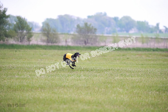 C Prelim Vet Fergie-1318