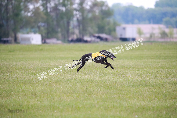 C Prelim Vet Fergie-1330