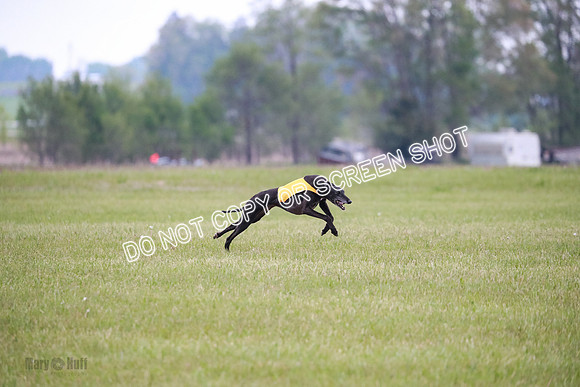 C Prelim Vet Fergie-1326
