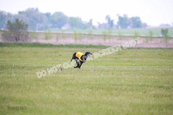 C Prelim Vet Fergie-1322