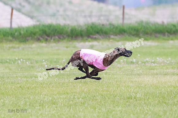 B Prelim Buck Dave-1222