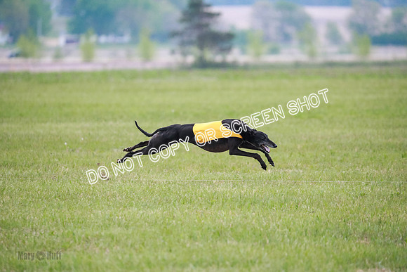C Prelim Vet Fergie-1335