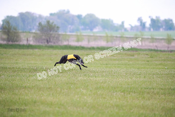 C Prelim Vet Fergie-1320