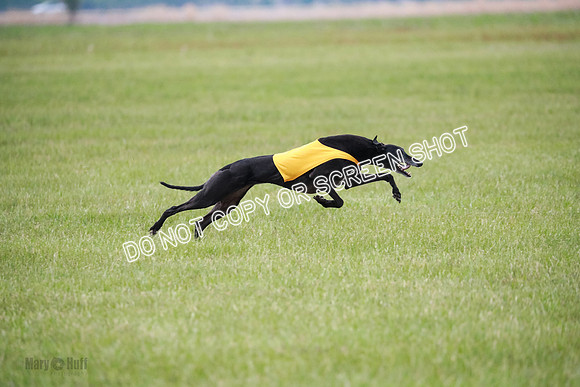 C Prelim Vet Fergie-1346