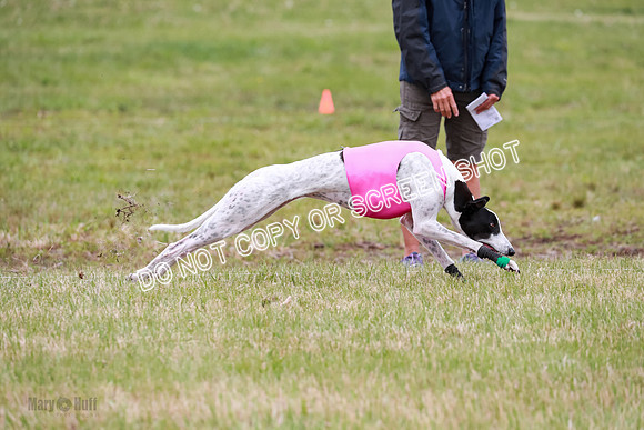 D Final Open Bodhi Apple-3157