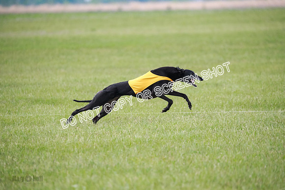 C Prelim Vet Fergie-1350