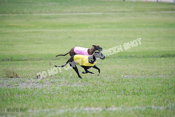 B Prelim Buck Dave-1279