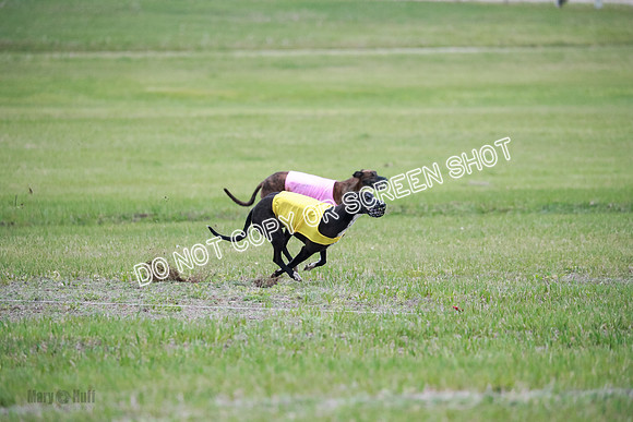 B Prelim Buck Dave-1278