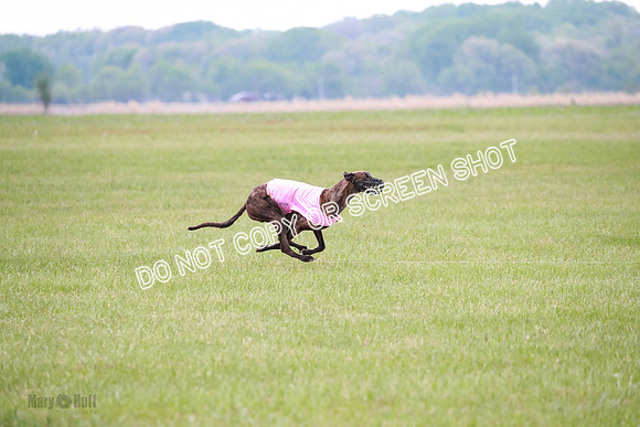 B Prelim Buck Dave-1244
