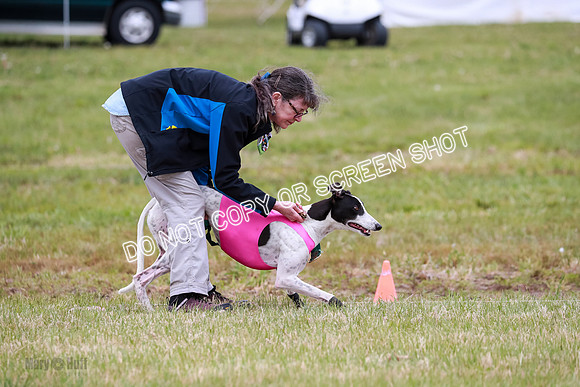 D Final Open Bodhi Apple-3147