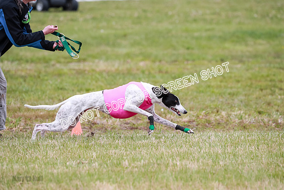 D Final Open Bodhi Apple-3153