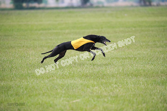 C Prelim Vet Fergie-1343
